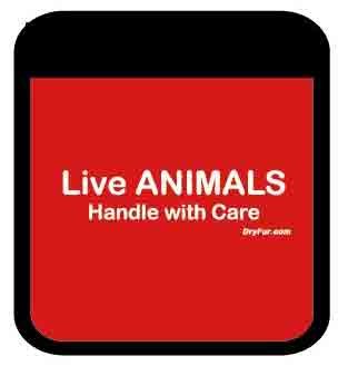 Pet Carrier Comfort Grips - Live Animals - set of 2