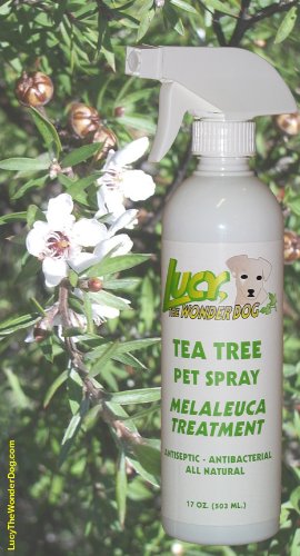 Lucy the Wonder Dog Tea Tree Pet Spray 17oz Melaleuca Treatment