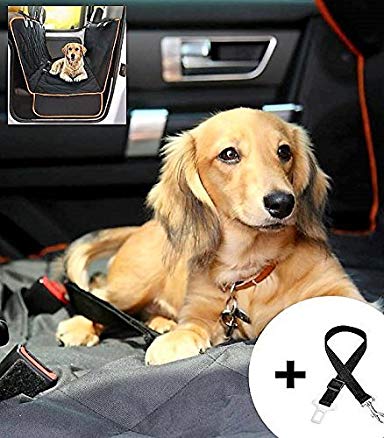 Bombshell Pets Luxury Dog and Child Car Seat Cover / Protector with FREE Dog safety belt and drawstring case - Hammock and Regular Style, Machine Washable, Non Slip and Waterproof with CORAL trim
