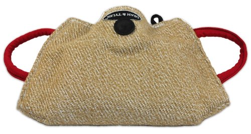 Dean and Tyler Young Dog Bite Builder with 3-Handles, Jute