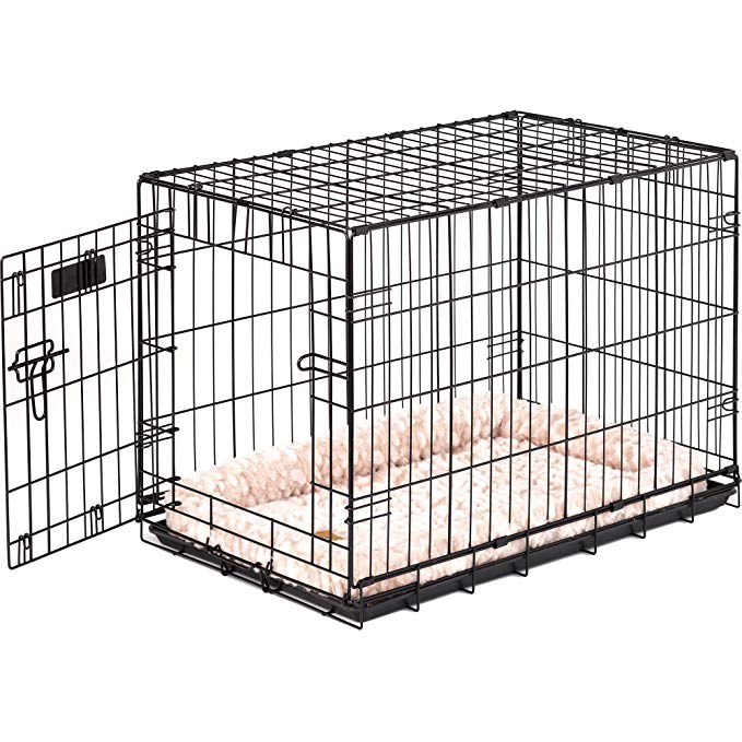 ProValu Single-Door Dog Crate in Black