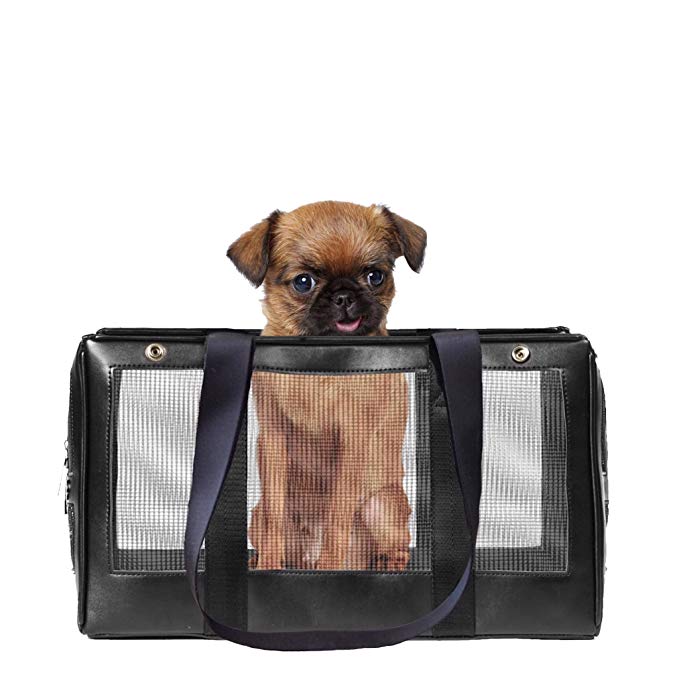 MISO PUP The Airline Approved Interchangeable Soft Sided Pet Carrier for Small Dogs