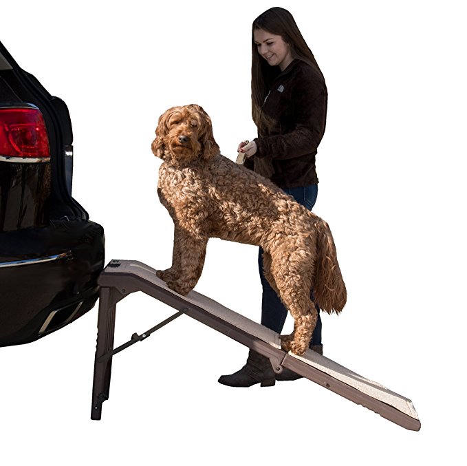 Pet Gear Free Standing Ramp for Cats and Dogs. Great for SUV’s or use Next to your Bed. 4 Models to Choose from, Supports 200-300 lbs, Lightweight Easy-Fold Design