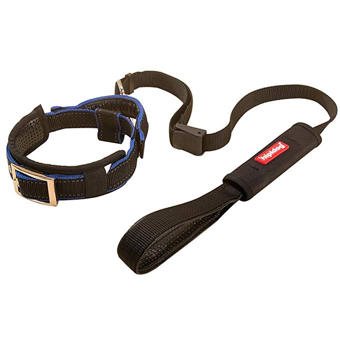 Creation Core 1 Set Adjustable Dog Seat Belt & Dog Collar with Elastic Handle Soft Padded Premium 2 in 1 Reflective Pet Leash