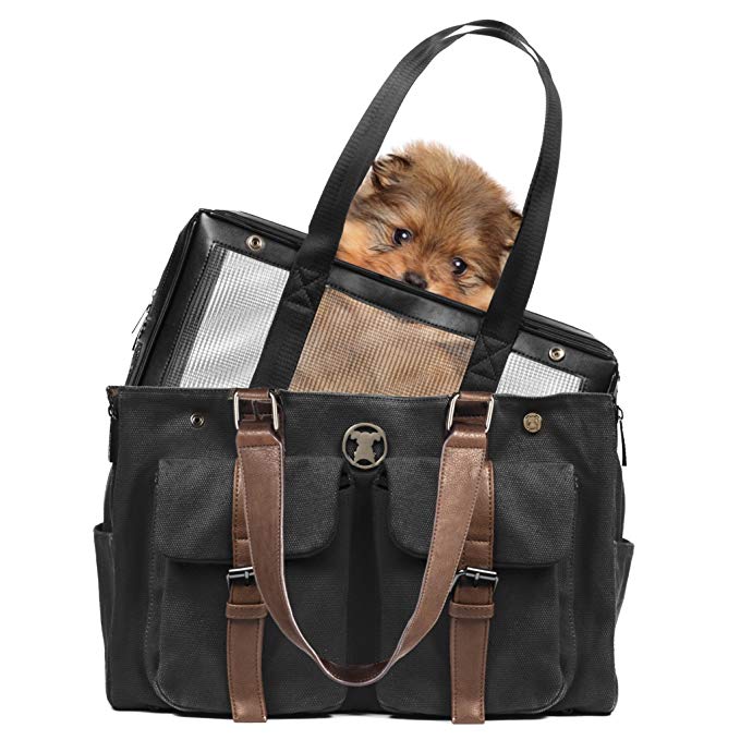 MISO PUP Interchangeable Pet Carrier with Weekend Black Canvas Shell Tote Airline Approved for Teacup, Toy and Small dogs