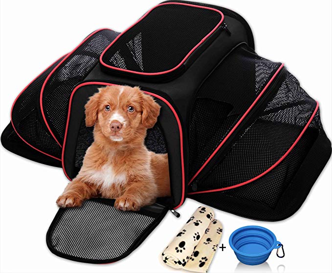 PETYELLA Cat Carrier Pet Carrier for Small Dogs and Cats - Expandable Soft Sided Crate for Pet - Airline Approved Medium Kennel Travel Bag - 2.8 lbs Dog Carriers with Bonus Blanket & Bowl