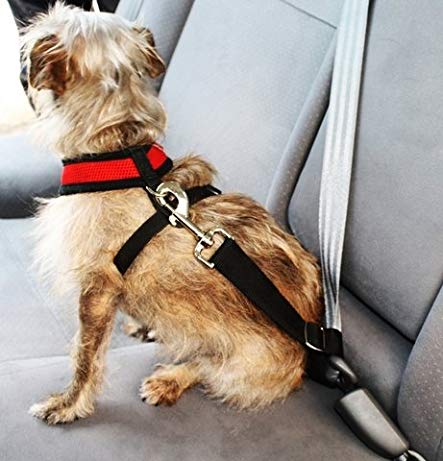 Doggie Seat Belt - The Easy to use seat belt made for Small Dogs