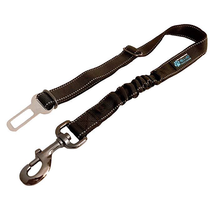Max and Neo Dog Vehicle Seat Belt Bungee Harness Car Leash - We Donate a Leash to a Dog Rescue for Every Leash Sold
