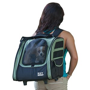 I-GO2 Traveler Pet Carrier Sage