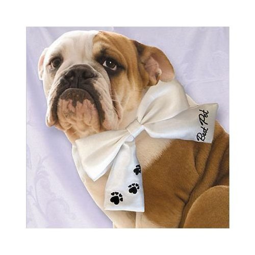 Best Pet Dog Wedding Bow Tie with Paw Prints