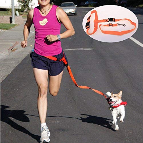 EverTrust(TM) Nylon Dog Leash Hands Free Pet Lead Walking Running Jogging Waist Belt Leash for dog Chihuahua Adjustable 7Colors